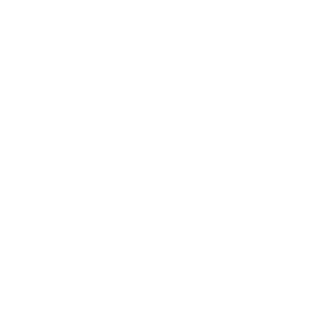 Zain Group Logo – Enterprise-Carrier im Nahen Osten
